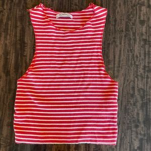 ZARA crop top